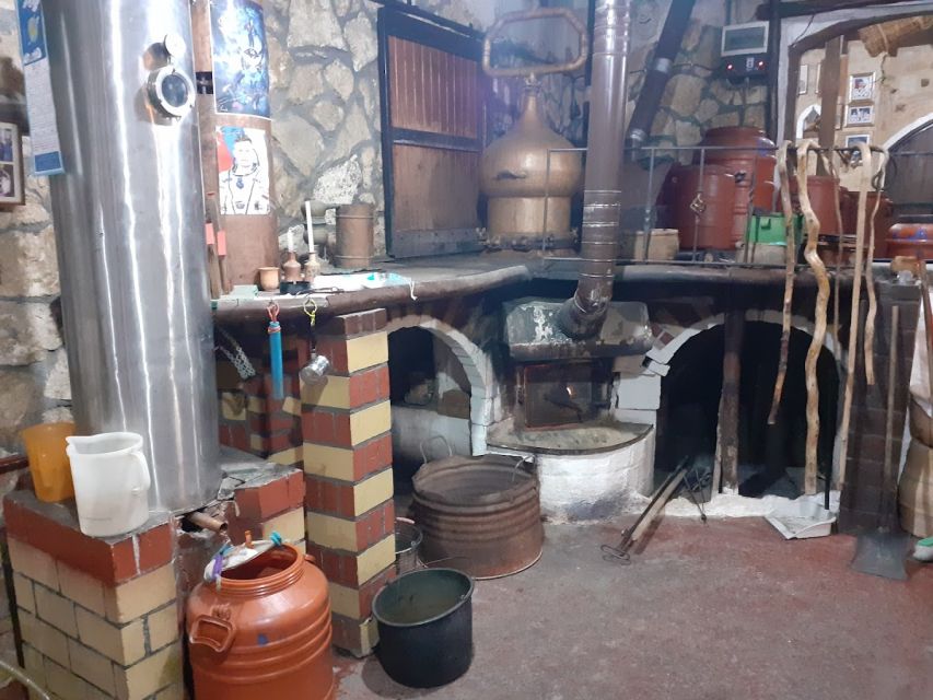 Crete: Full-Day Cretan Wines, Olive Oil, Raki and Food Tour - The first stop: olive groves and fresh oil in Skalani