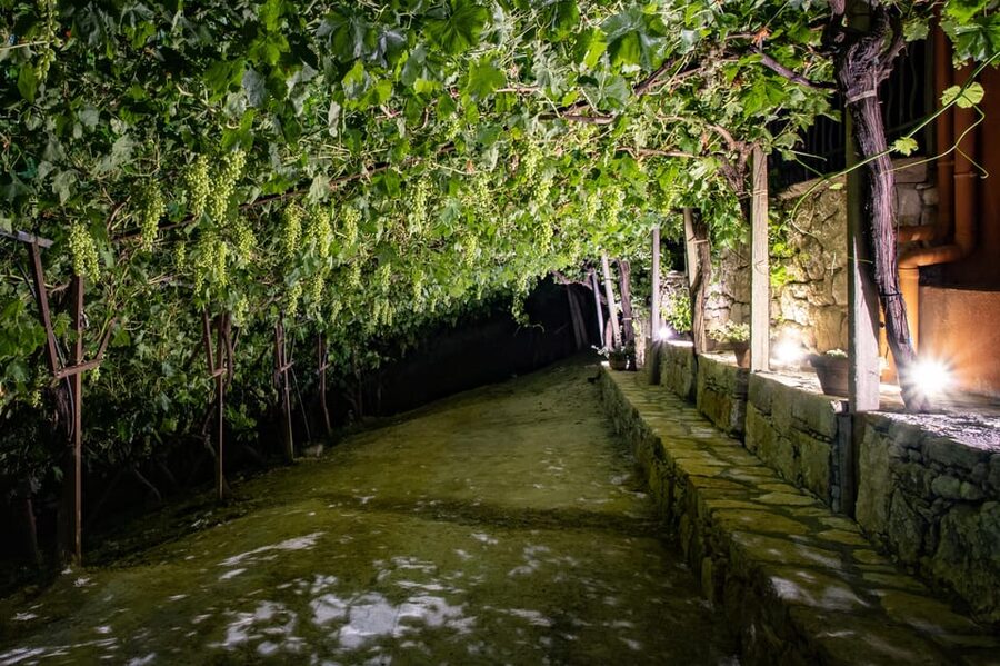 Crete: Jeep Safari Wine & Olive Oil testing Shepherd's House - Thrapsano and the extra winery charge