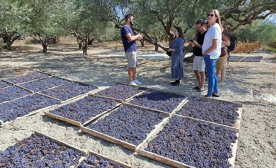 Crete: Knossos Palace, Winery & Olive Oil Tour with Lunch - Olive oil, local snacks, and what makes the tasting worthwhile
