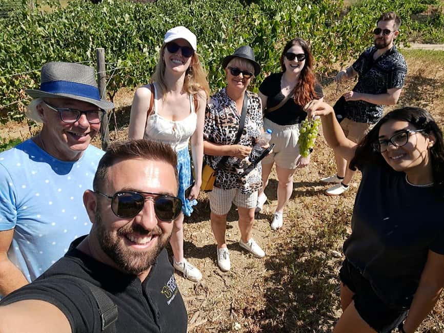 Crete: Knossos Palace, Winery & Olive Oil Tour with Lunch - Transport, timing, and group size