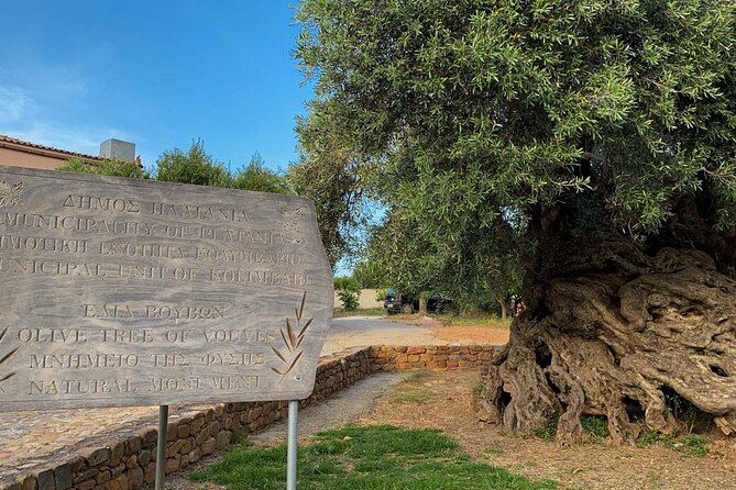 Crete: Local Wine Tasting & Visit to the Ancient Olive Tree - Who will enjoy this experience most?