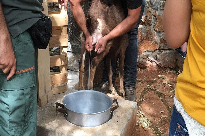 Crete Off-Road & Flavors Safari: Wine, Olive Oil & Mountain Life - The Mitato and the shepherd’s world