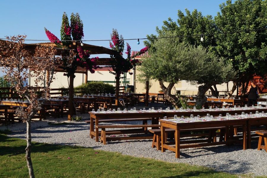 Crete: Olive Oil Factory Tour, Dinner & Traditional Dancing - How much value do you get for $66?
