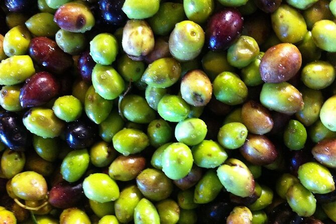 Crete: Olive Oil, Soap, Wine, Raki - Flavorful Culinary Journey - Soap making is the surprise hit