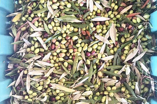Crete: Olive Oil, Soap, Wine, Raki - Flavorful Culinary Journey - Price, group size, and what you receive