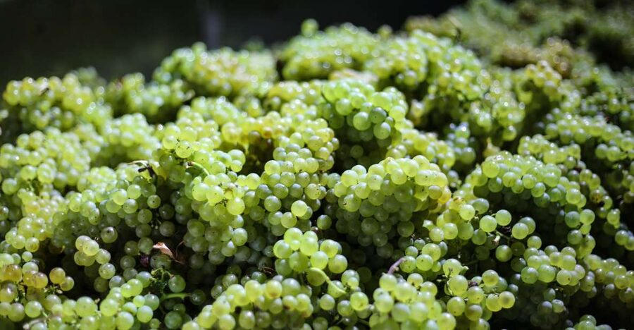 Crete: Olive, Wine, & Raki on a Flavorful Culinary Journey - Should you book it?