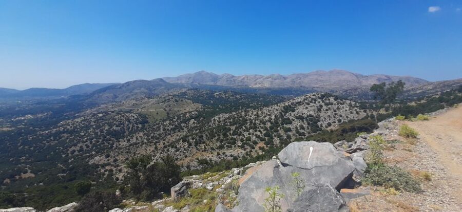 Crete: Olive, Wine, & Raki on a Flavorful Culinary Journey - Archanes: a village finish with room to look around