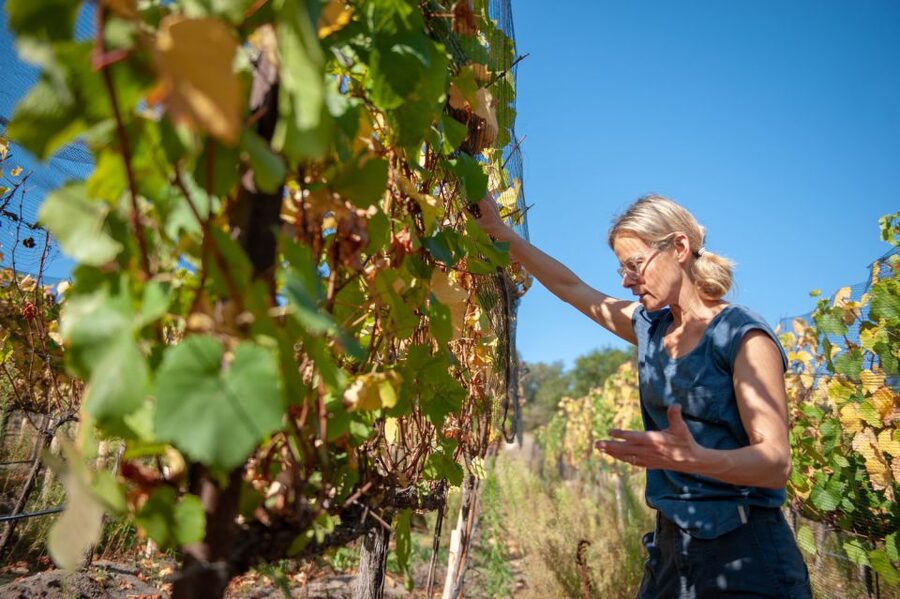 Crete Private Tour: The Secrets of Wine, Olives & Honey - Garazo village and a glimpse of local life