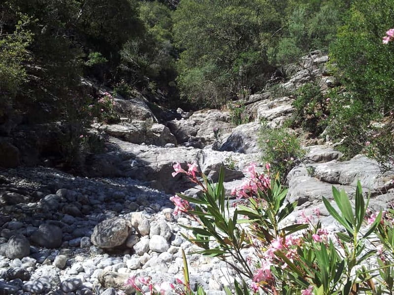 Crete: Richtis Waterfall Full-Day Tour with Olive Tasting - The guides make a real difference