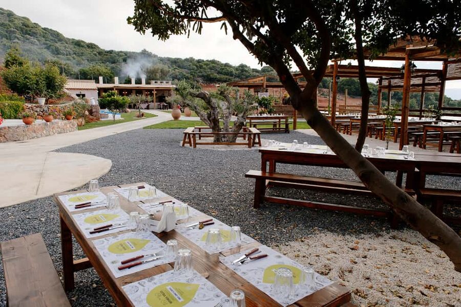 Crete: Road-trip to Lasithi, Zeus Cave & Olive Mill Farm - Krasi village and Crete’s famous plane tree