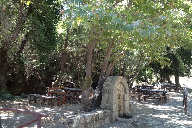 Crete's Wine and Olives Safari Tour from Chania - A Cretan lunch that may be the day’s highlight
