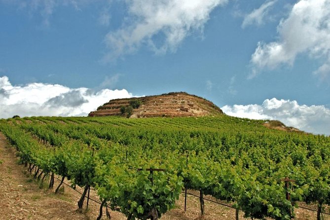 Crete Wine and Olive Oil Tour - What Makes This Tour Worth Considering