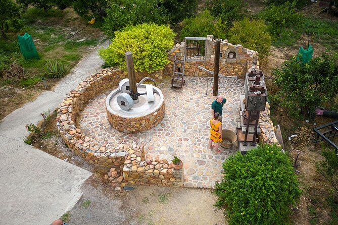 Crete Wine and Olive Oil Tour - The Monumental Olive Tree of Vouves
