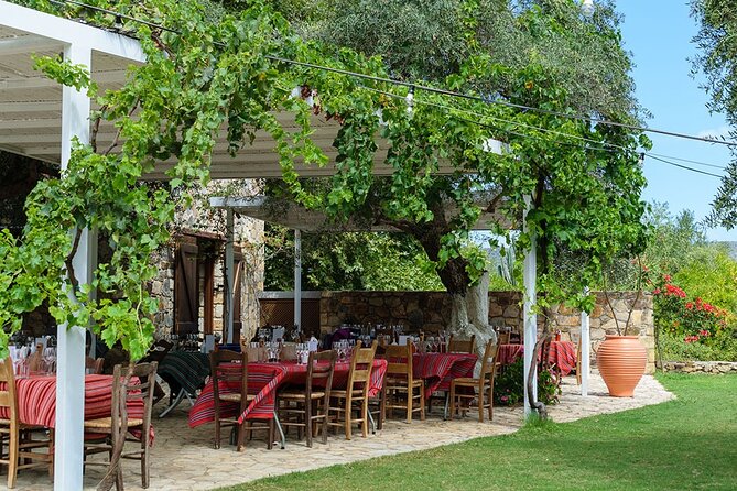 Crete Wine and Olive Oil Tour - How Much Wine and Olive Oil Will You Taste?