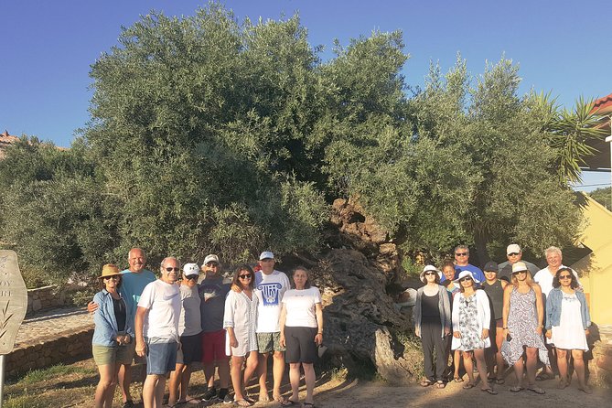 Crete Wine and Olive Oil Tour - Price, Group Size, and Overall Value