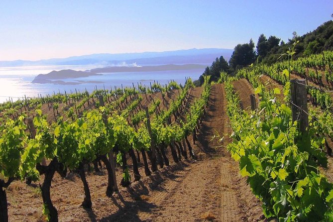Crete Wine & Olive Oil Tour - Chania Old Town and the Venetian Harbor