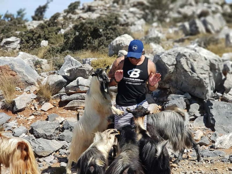 Crete: Zeus Cave, Lassithi Plateau, and Olive Factory Tour - Why the Six-Person Land Rover Matters