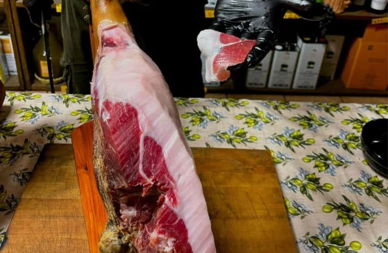 Cured Meat & Olive Oil Tasting & Visit near Pisa & Livorno - Should You Book This Tuscan Mill Visit?
