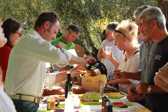 DA Abano and Montegrotto: Oil and Wine Tour of the Euganean Hills - Key points at a glance