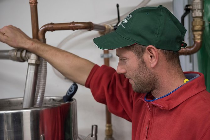 DA Abano and Montegrotto: Oil and Wine Tour of the Euganean Hills - How olive oil is made at EVO del Borgo