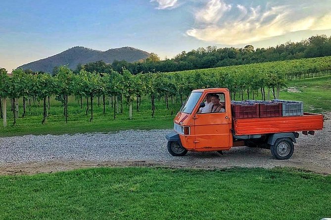 DA Abano and Montegrotto: Oil and Wine Tour of the Euganean Hills - What the $108.02 price includes