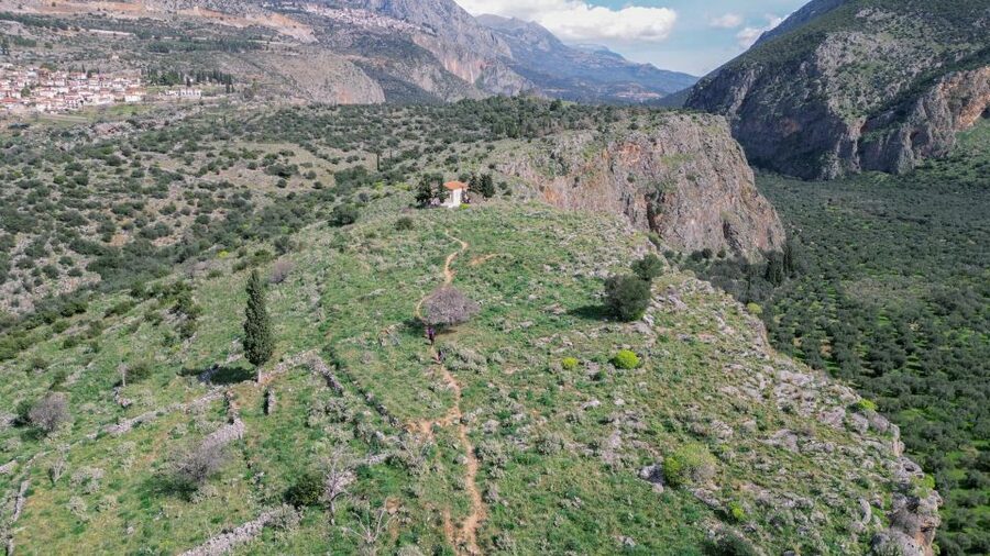 Delphi: Easy Hike on Ancient Path through the Olive Groves - Key points to know before you book