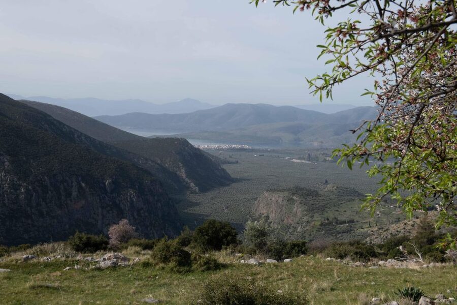 Delphi: Easy Hike on Ancient Path through the Olive Groves - Olive groves, farming, and the village of Chriso