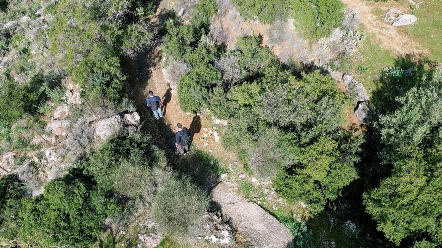 Delphi: Easy Hike on Ancient Path through the Olive Groves - Games and quests instead of a standard walking lecture