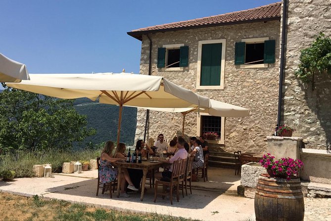 Discover DOP Olive Oil - Inside the old cellar and oil room