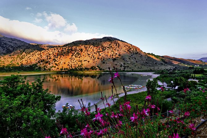 Discover Rethymno, Lake Kournas & the Secrets of Cretan Olive Oil - Melissakis Olive Mill and the taste of Cretan oil