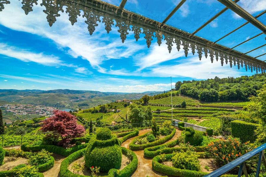 Douro Valley: A Sensory Experience in the Douro: Wines, Olive Oil, and History - Key points to know before booking