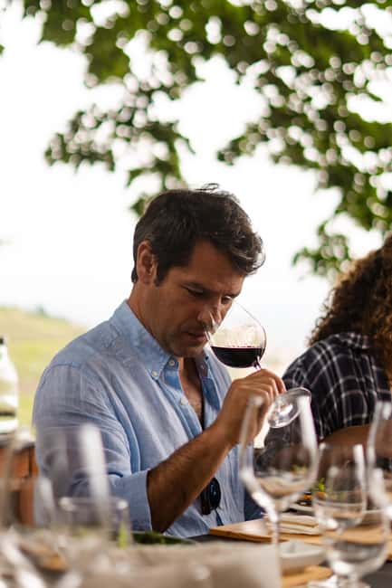 Douro Valley: A Sensory Experience in the Douro: Wines, Olive Oil, and History - Useful planning advice for your visit