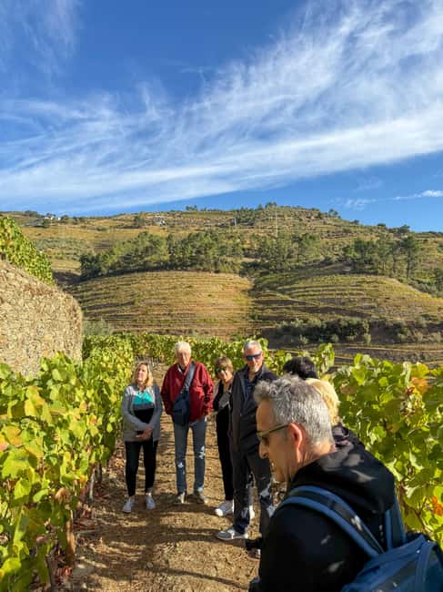 Douro Valley: Olive Oil & Wine Tour with Boat & Lunch - Why this Douro day feels different