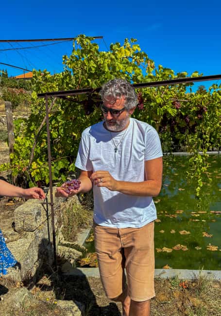 Douro Valley: Olive Oil & Wine Tour with Boat & Lunch - The 18th-century manor and Aunt Minda’s lunch