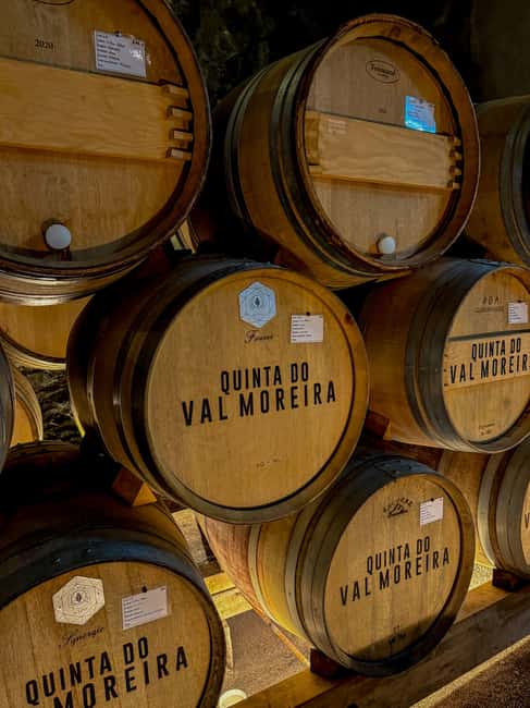 Douro Valley: Olive Oil & Wine Tour with Boat & Lunch - Pickup from Porto or the Douro towns