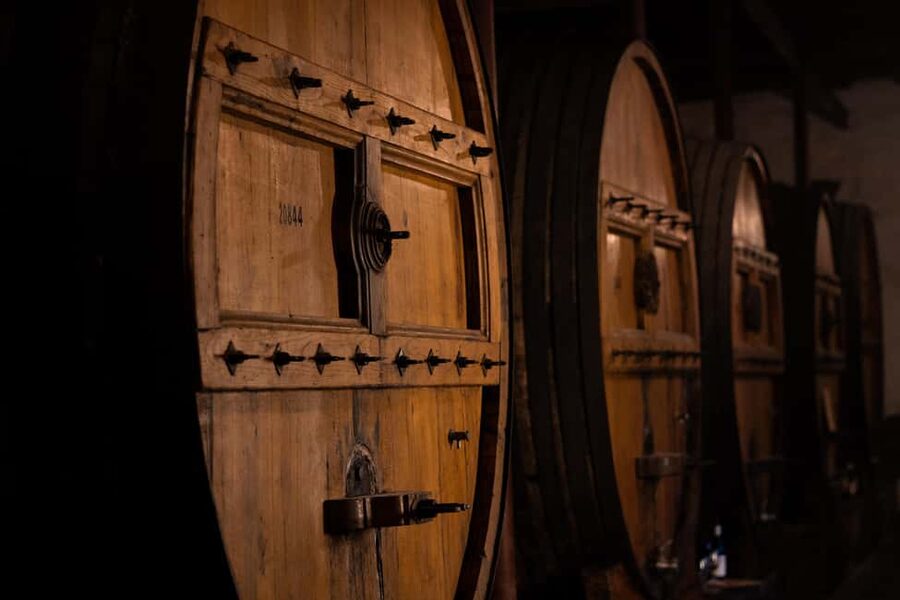 Douro Valley: Private Lunch with Wine & Olive Oil Tasting - A wood-stove lunch with Douro flavors