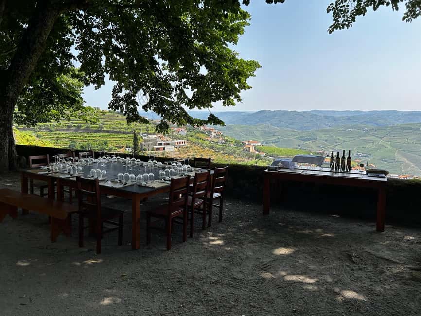 Douro Valley: Private Lunch with Wine & Olive Oil Tasting - What the $111 price really covers