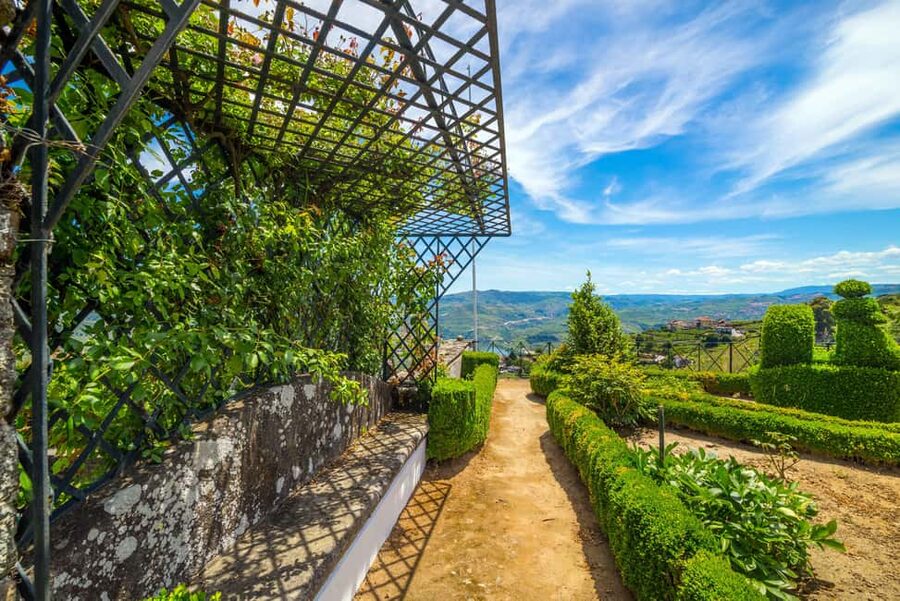 Douro Valley: Private Lunch with Wine & Olive Oil Tasting - Booking, timing, and practical details