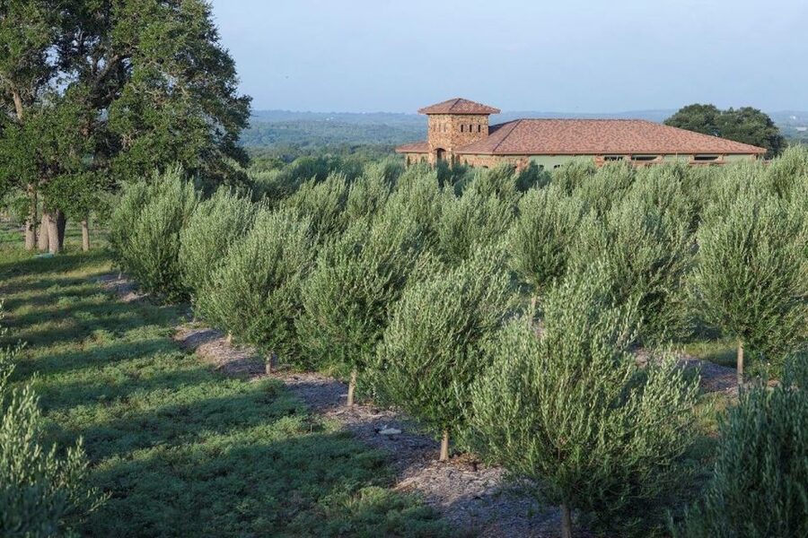 Dripping Springs: Olive Oil and Balsamic Vinegar Tasting - Why the small setting matters