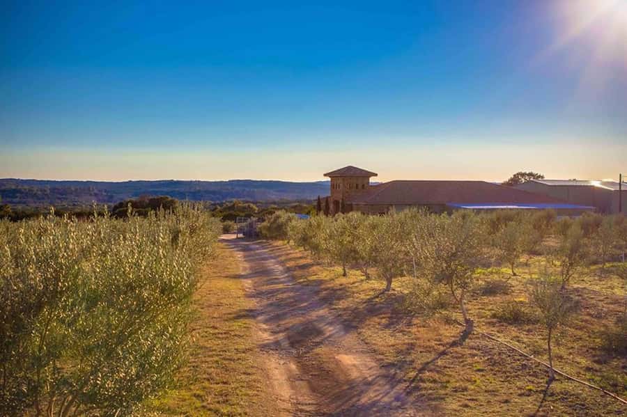 Dripping Springs: Olive Oil and Balsamic Vinegar Tasting - Who will enjoy this tasting most
