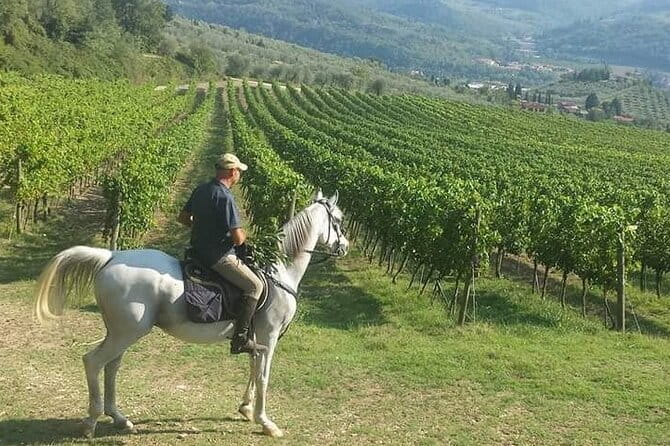 E-bike 2.5 hour Florence & Tuscany With Fresh Olive Oil and Bread - The e-bike experience and riding conditions