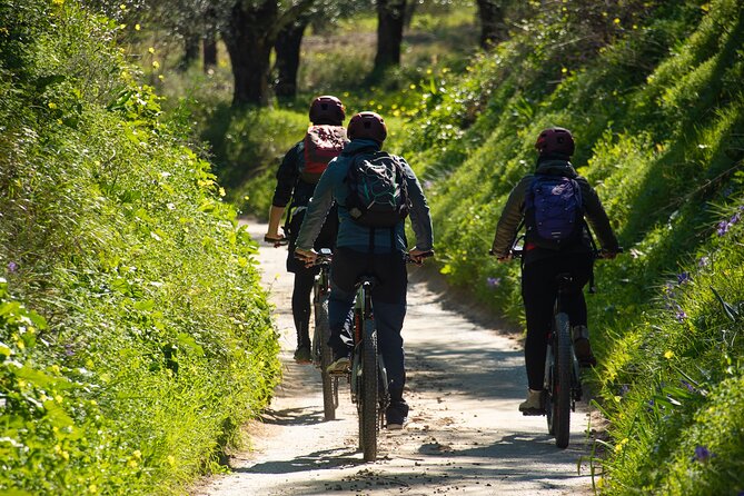 E-Bike Kalamata Olive Routes - From Mpouloukou Street into Kalamata’s olive country