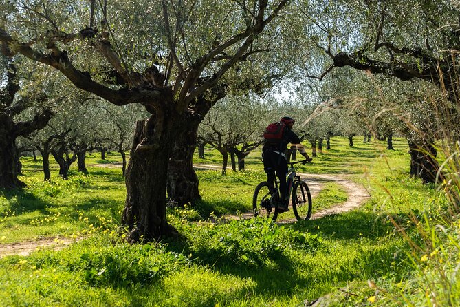 E-Bike Kalamata Olive Routes - Who will enjoy this Kalamata morning?