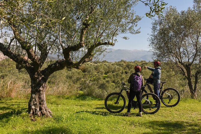 E-Bike Kalamata Olive Routes - Should you book the olive route?