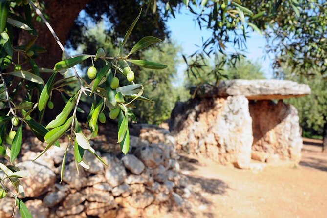 E-bike tour in Ostuni. Oil mill, Dolmen and huge olive trees - Families, casual cyclists, and food lovers