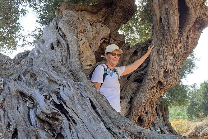 e-bike tour in the plain of the secular olive trees of Ostuni - Key points at a glance