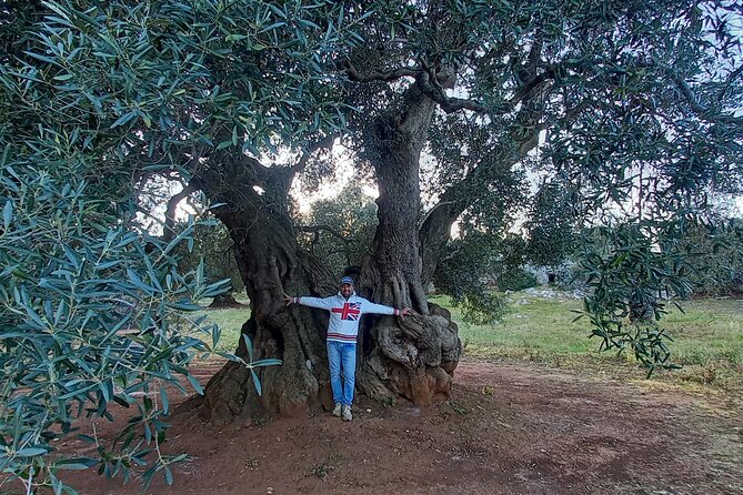 e-bike tour in the plain of the secular olive trees of Ostuni - Why this Ostuni e-bike tour is worth your time
