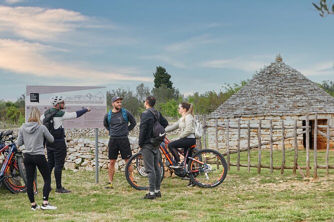 E Bike Tour with wine and olive oil tasting in Vodnjan - Is $76.93 a fair price?