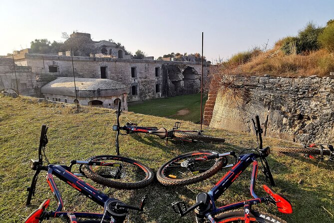 E Bike Tour with wine and olive oil tasting in Vodnjan - Starting in Vodnjan at 4:30 pm