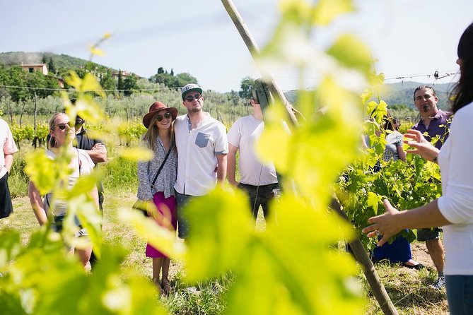 Educational Olive Oil Tasting - Arriving at Buccelletti near Castiglion Fiorentino